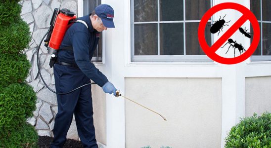 Kırşehir Böcek ve Haşere İlaçlama böcek ilaçlama ve haşere kontrolü — ilaclama-tr.com